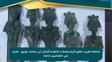 محاولة تهريب قطع أثرية وعملات متنوعة تُفشل في جمارك نويبع.. تعرف على التفاصيل كاملة